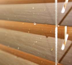 Waterproof Blinds & Shades