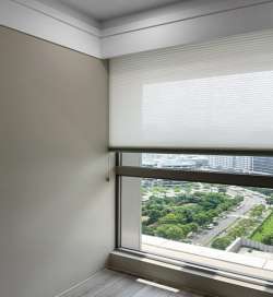 Honeycomb Shades／Cellular Shades - Celaro Honeycomb Shades　Sheer