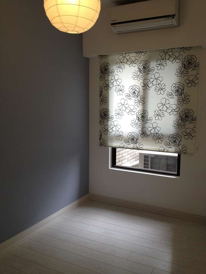 Zicy Roller Blinds　Printing Spring Customized／Personalized Blinds & Shades Hydraulic Spring System／Spring Blinds Child Safety／Cordless Blinds & Shades Light Filtering Blinds & Shades Motorized Blinds／Smart Blinds & Shades