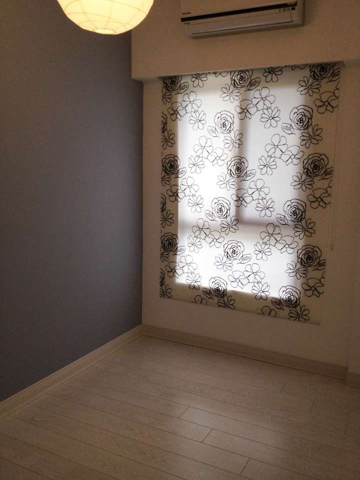 Zicy Roller Blinds　Printing Spring Customized／Personalized Blinds & Shades Hydraulic Spring System／Spring Blinds Child Safety／Cordless Blinds & Shades Light Filtering Blinds & Shades Motorized Blinds／Smart Blinds & Shades
