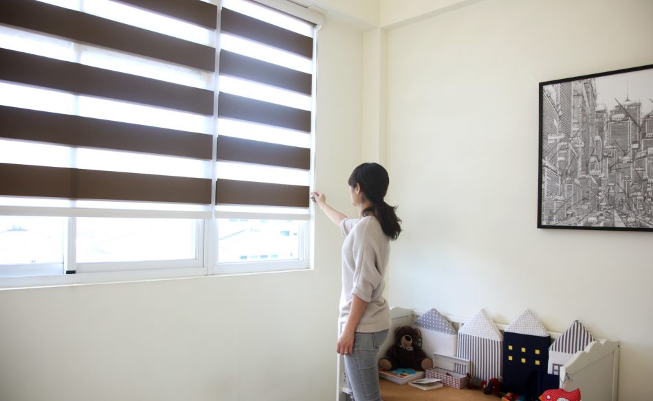 Zebra Blinds, simple pull motion blinds, simple pull, roller blinds, motorized blinds, Motorization, electric blinds, Double Roller Blinds