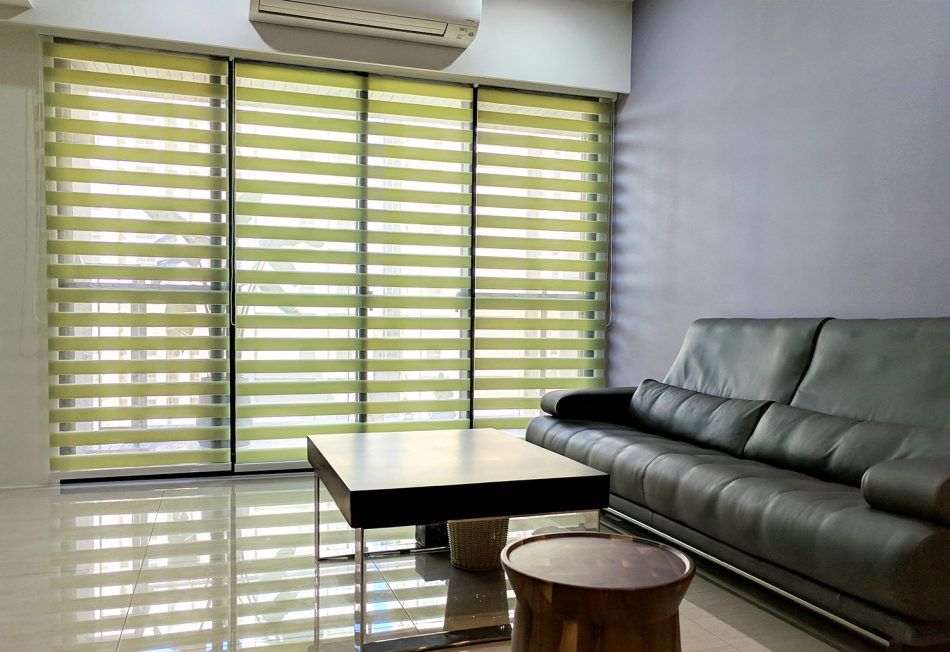 zebra blinds price, Zebra Blinds, simple pull motor, motorized blind, Light-Regulating, Insulation, Double Roller Blinds, Custom-made, Blackout blinds